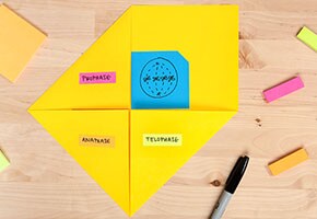 Studying with foldables