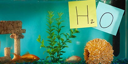 Learn about chemical elements with Post-it® Super Sticky Notes.
