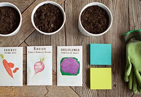 Gardening made easy