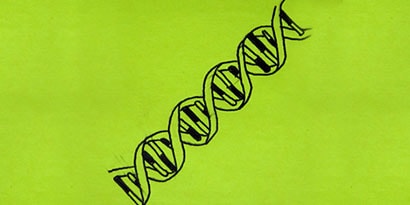2. James Watson dan Francis Crick menerangi pemahaman akan struktrur kehidupan